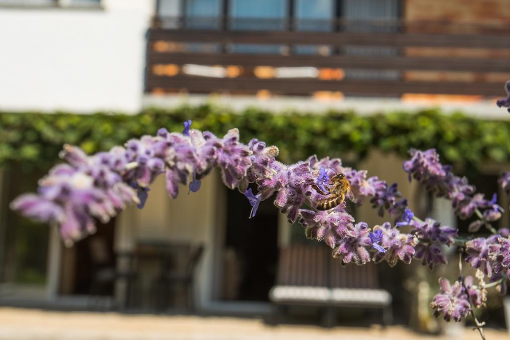 Apartments Poklukar Bled Zewnętrze zdjęcie